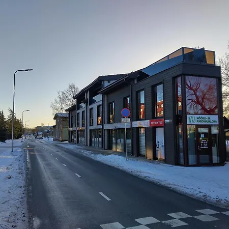 Suur-aia 21 Апартаменты Пайде